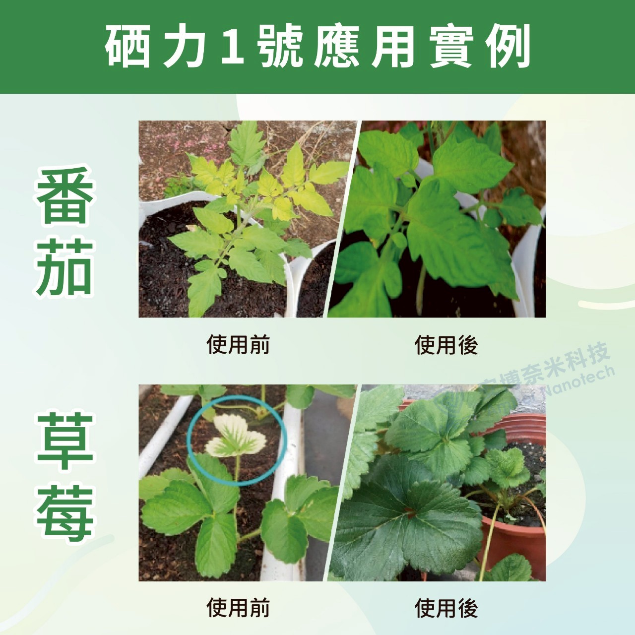 硒力一號應用實例