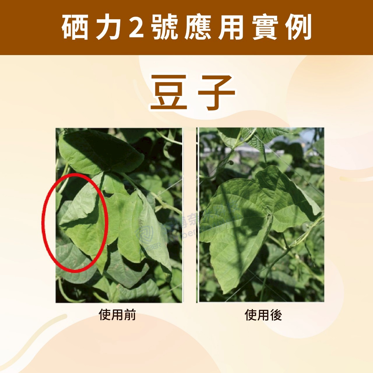 硒力二號應用實例