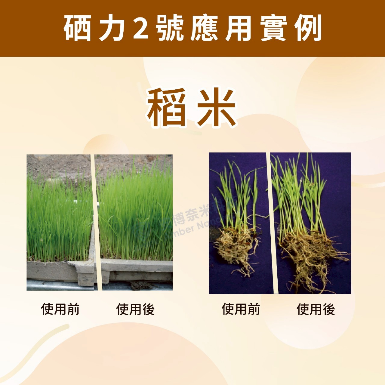 硒力二號應用實例