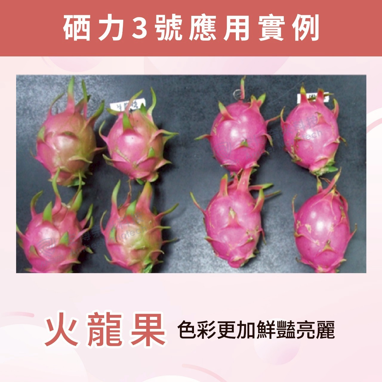 硒力三號應用實例