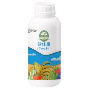 矽佳農