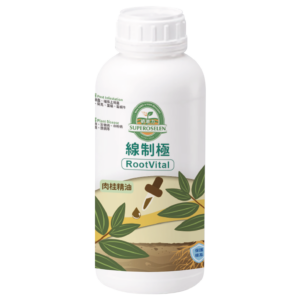 線制極 (肉桂苦茶萃取)